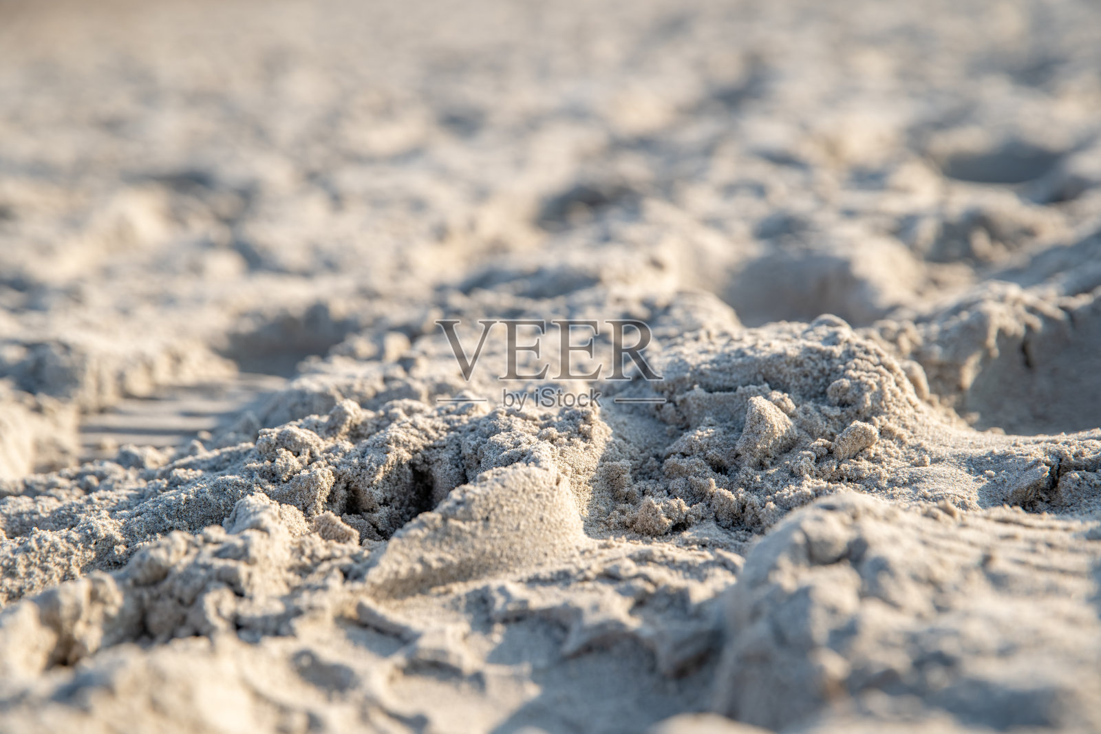 沙滩上有鞋印、腿印和动物爪子印照片摄影图片