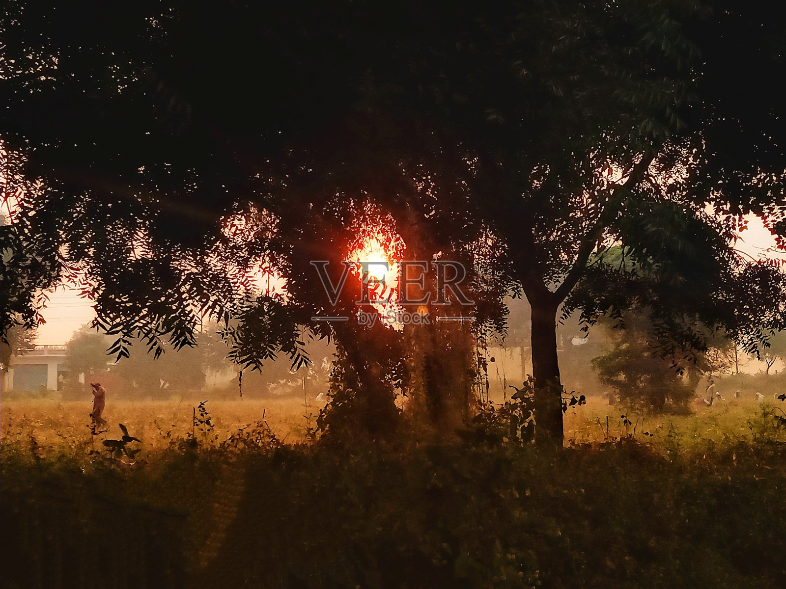 景观照片摄影图片