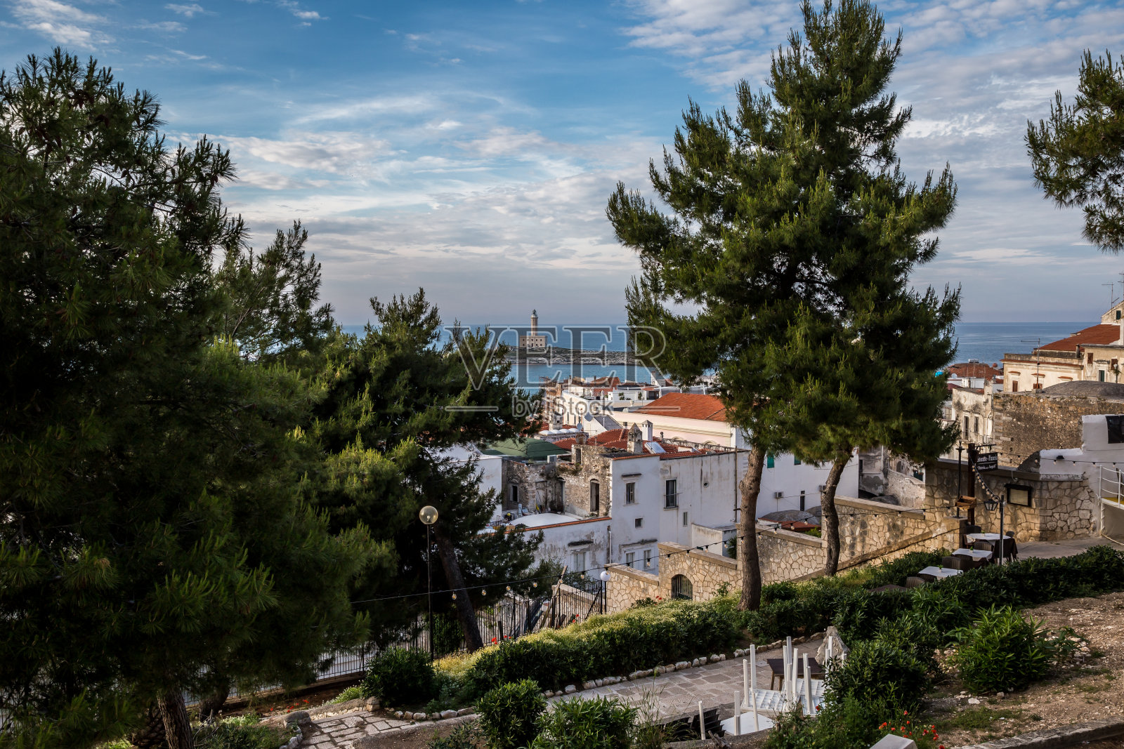 城市梯田上的树木照片摄影图片