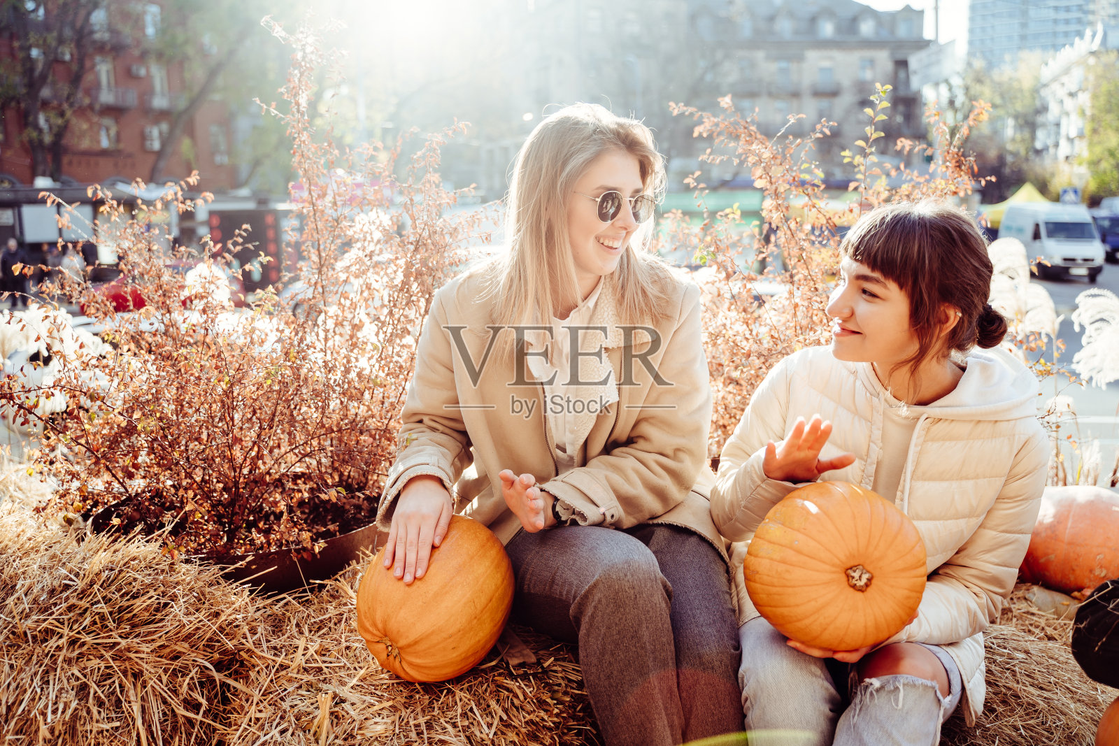 在街道的背景上,女孩们手里拿着南瓜。照片摄影图片