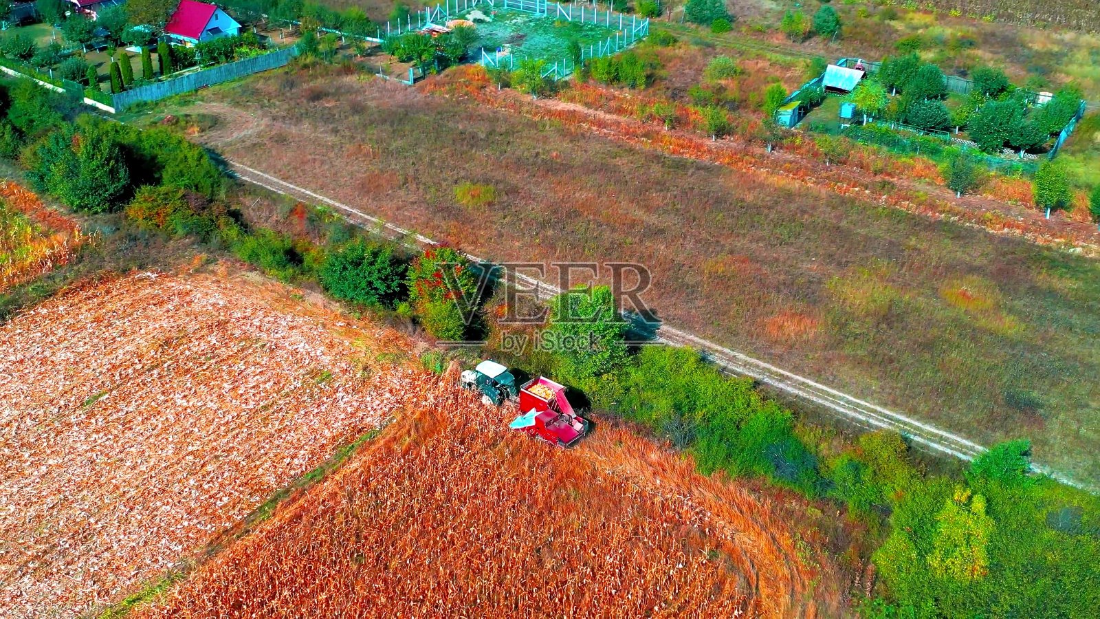 收割时在田里开拖拉机照片摄影图片