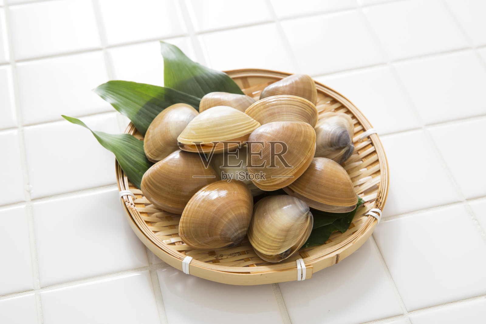 蛤蜊照片摄影图片