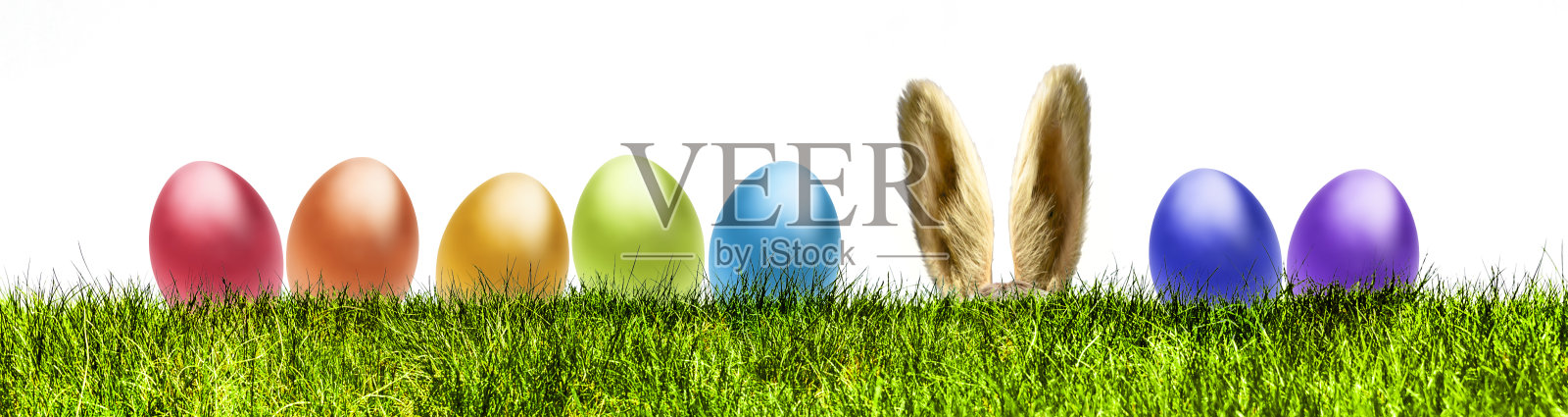 带着复活节彩蛋的复活节兔子挂在绿色的草地横幅上照片摄影图片