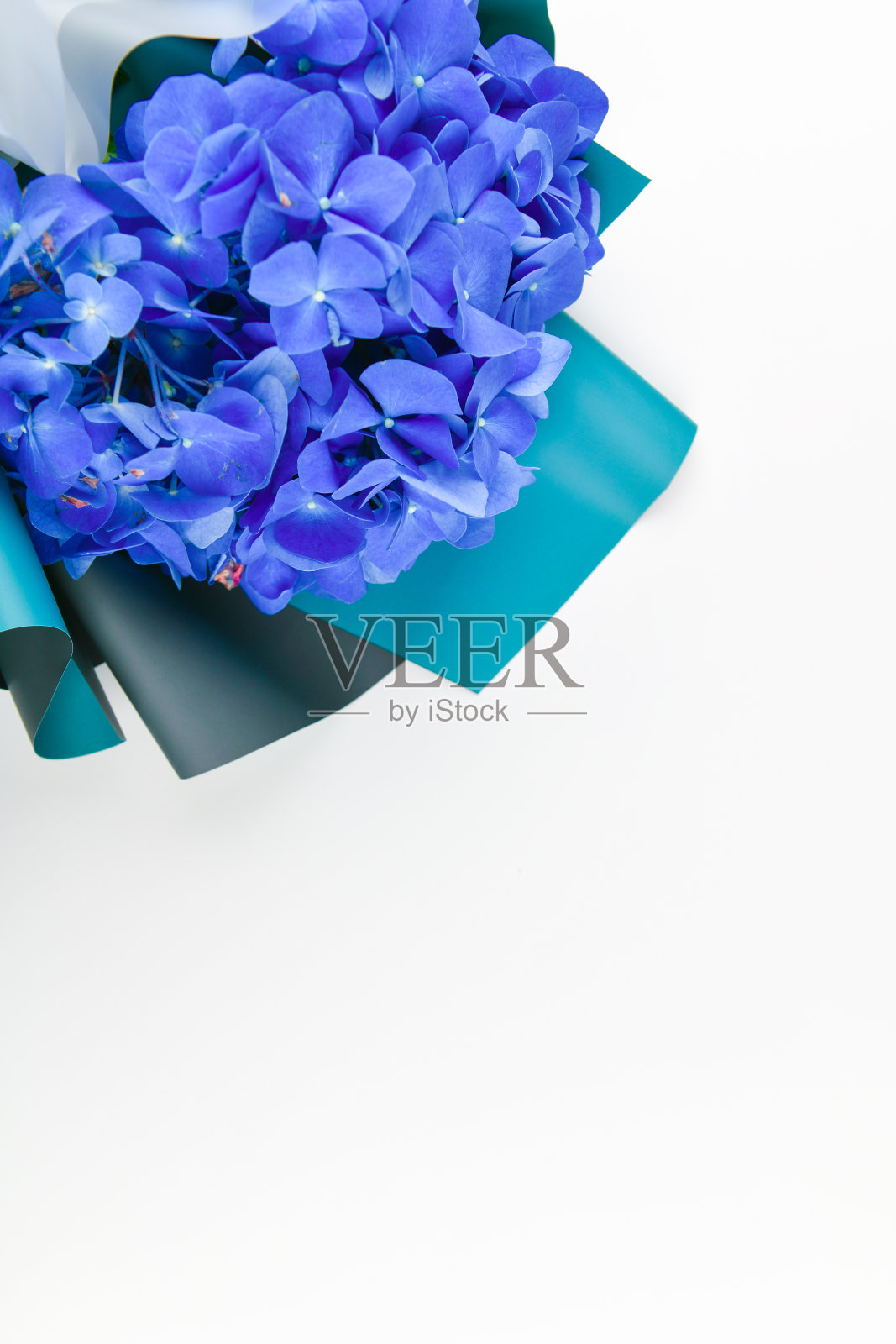 白色背景上的蓝色花束。一束鸢尾花。花朵是浸透的蓝色。从以上观点。写的地方照片摄影图片