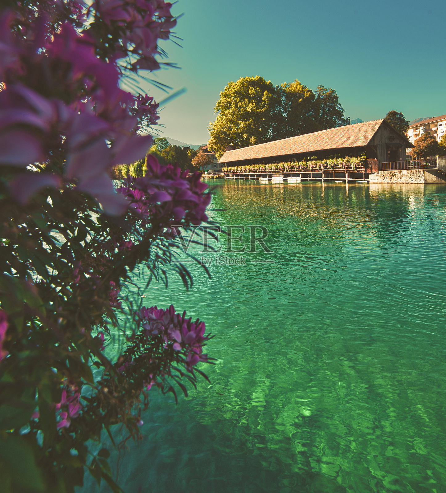 瑞士图恩市阿尔河上的一座古老的木桥照片摄影图片