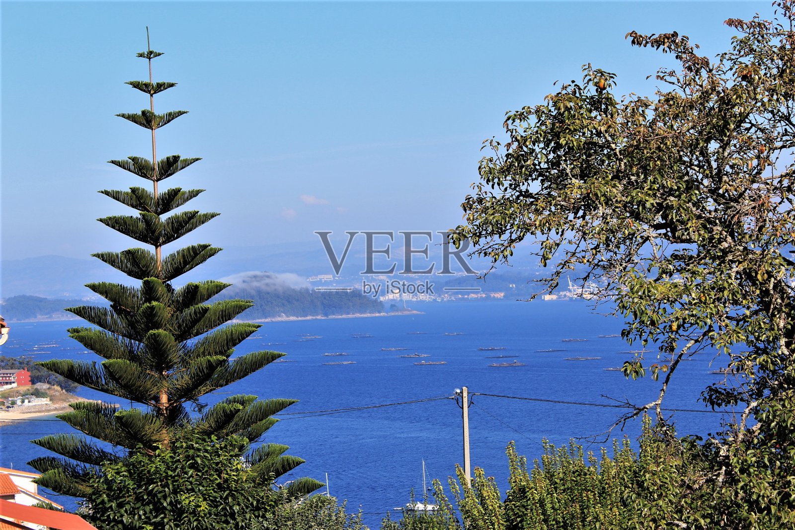 西班牙加利西亚令人惊叹的海景。照片照片摄影图片