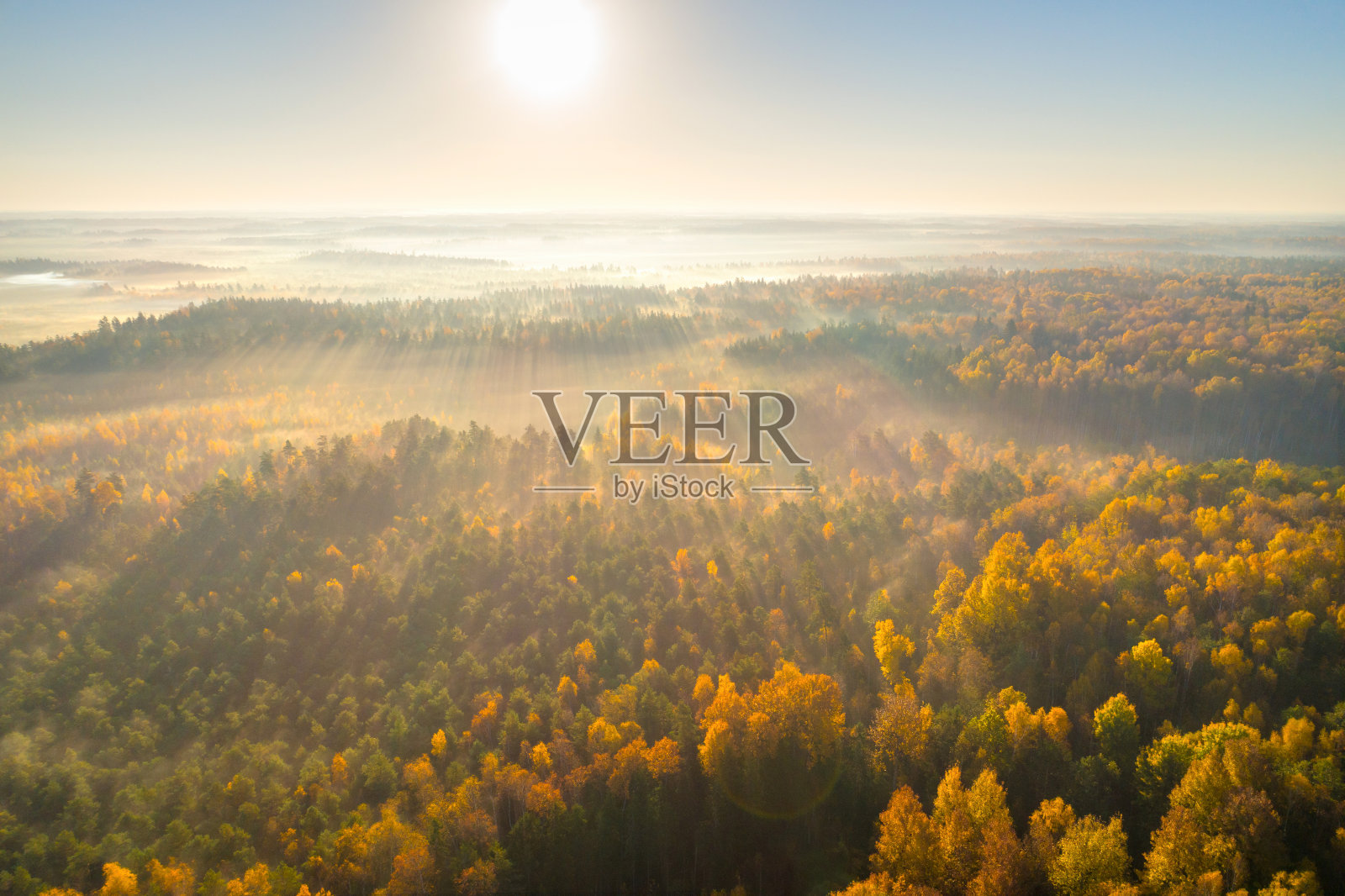 秋天的沼泽在早晨照片摄影图片