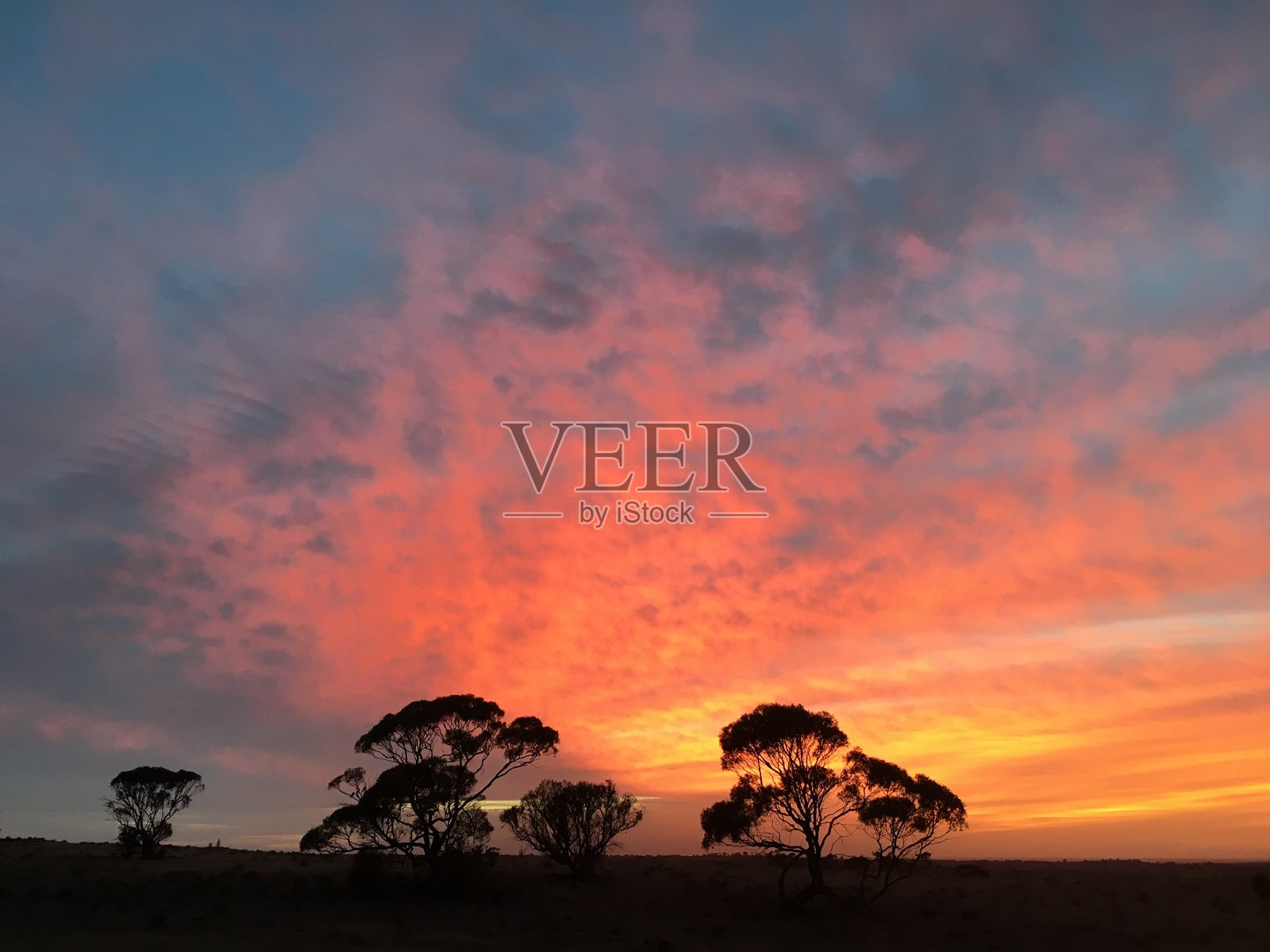 在Rockleigh日出照片摄影图片