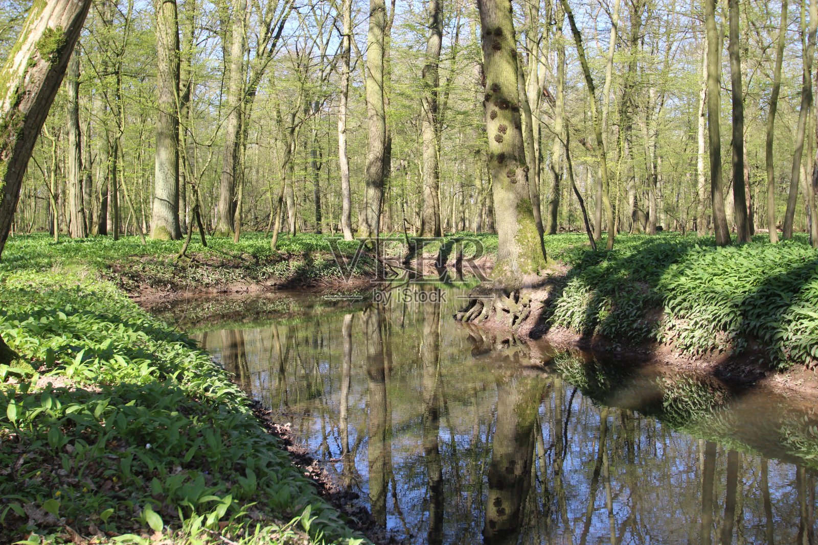 没有自然照片摄影图片