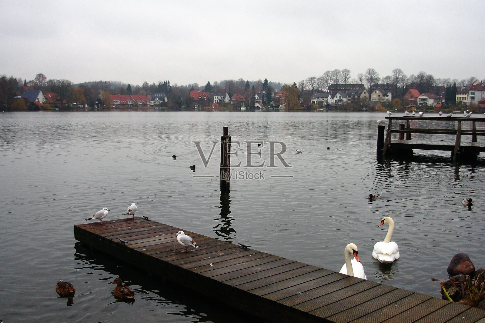 可能是吧照片摄影图片