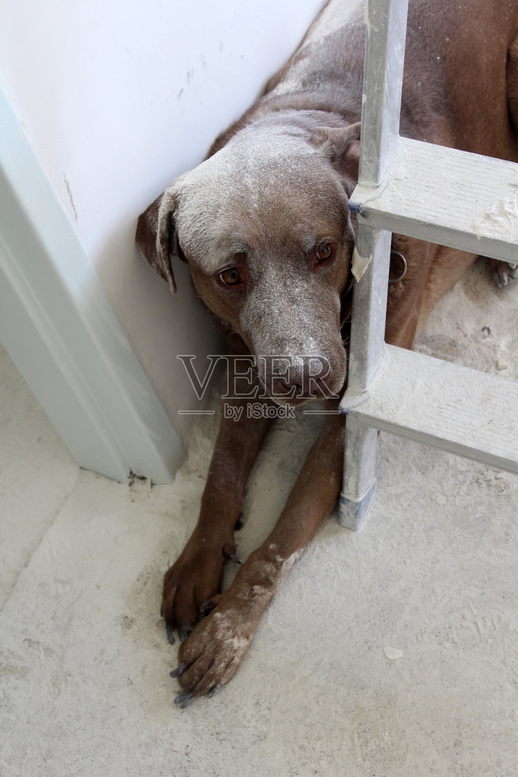 白色粉尘照片摄影图片