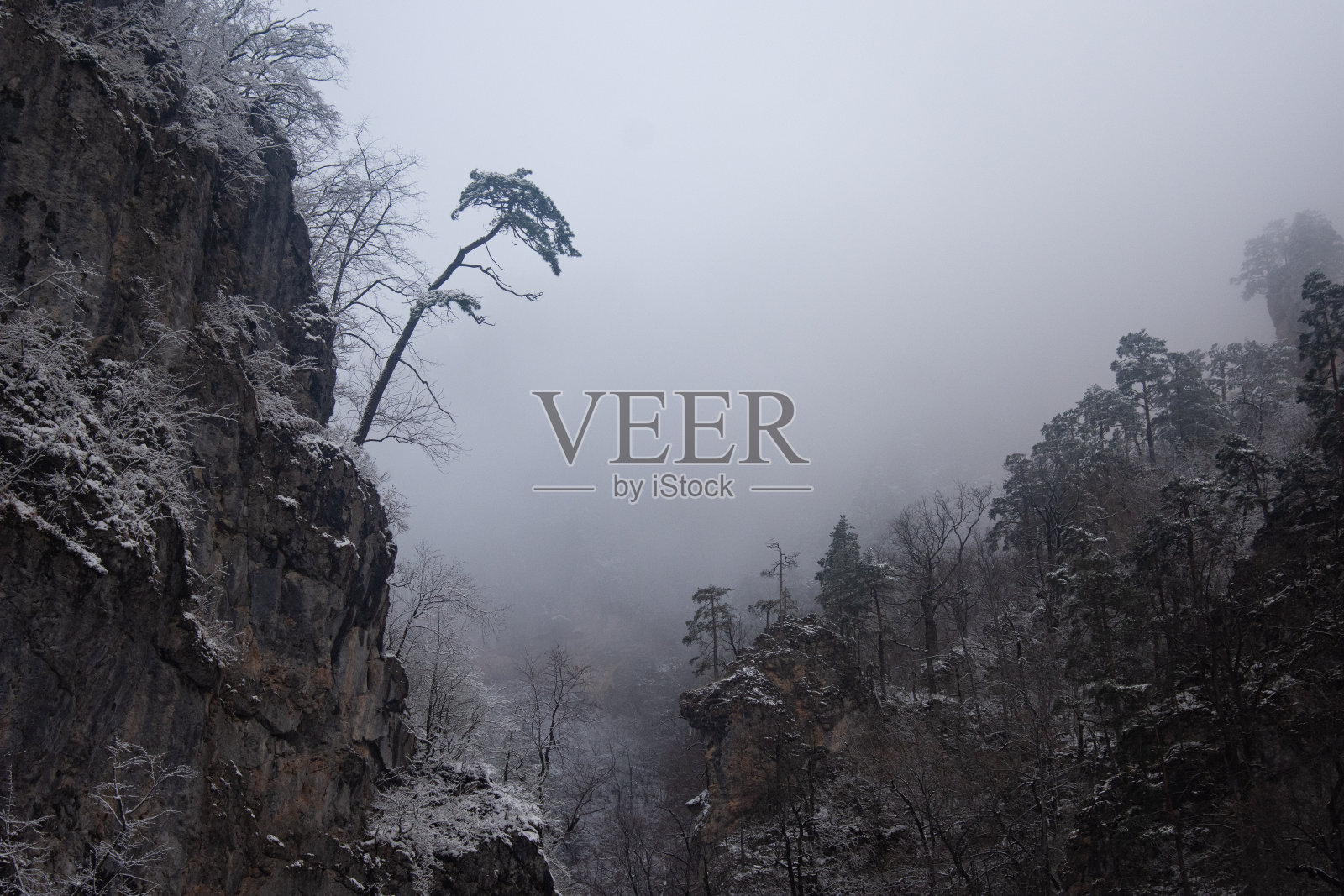 悲观的景观。照片摄影图片