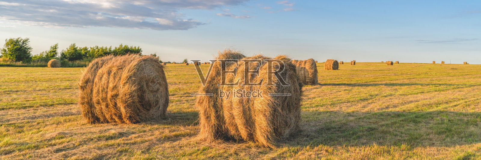 刈过的草地上的圆形干草堆照片摄影图片