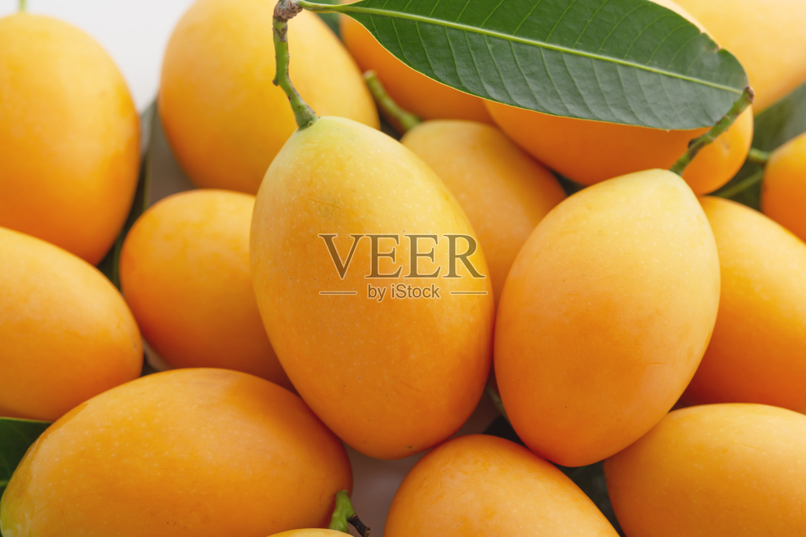 玛丽安李子closedup照片摄影图片