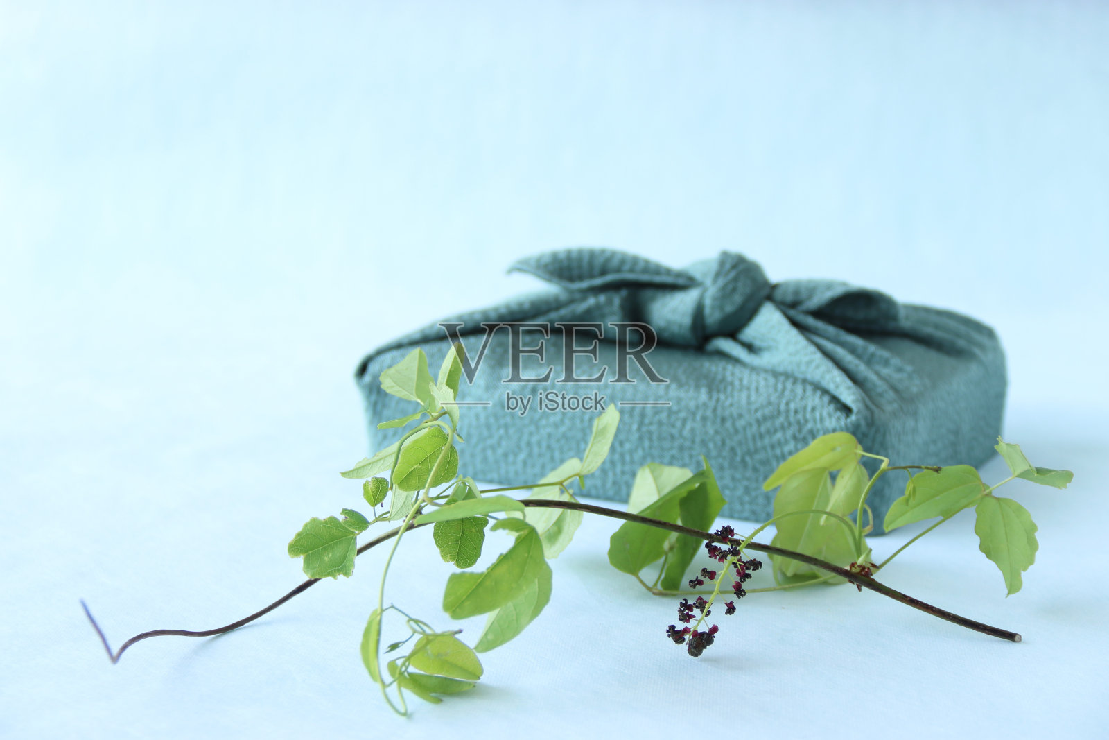 木通花束和糠木照片摄影图片