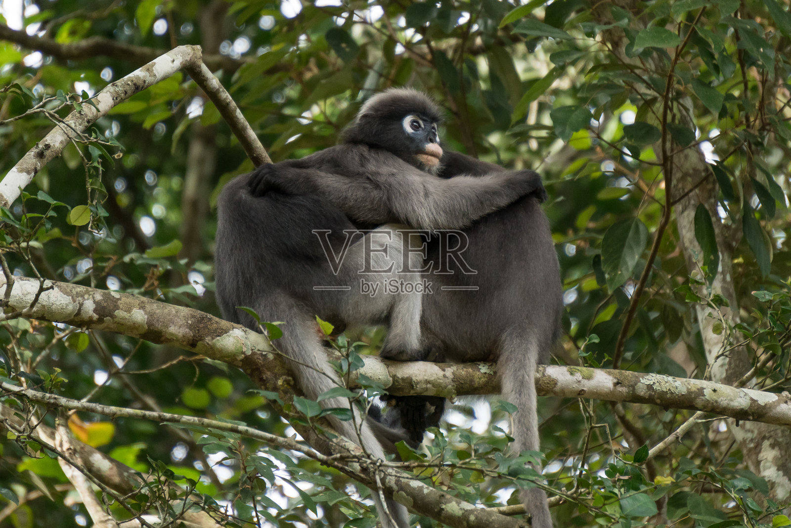长记照片摄影图片