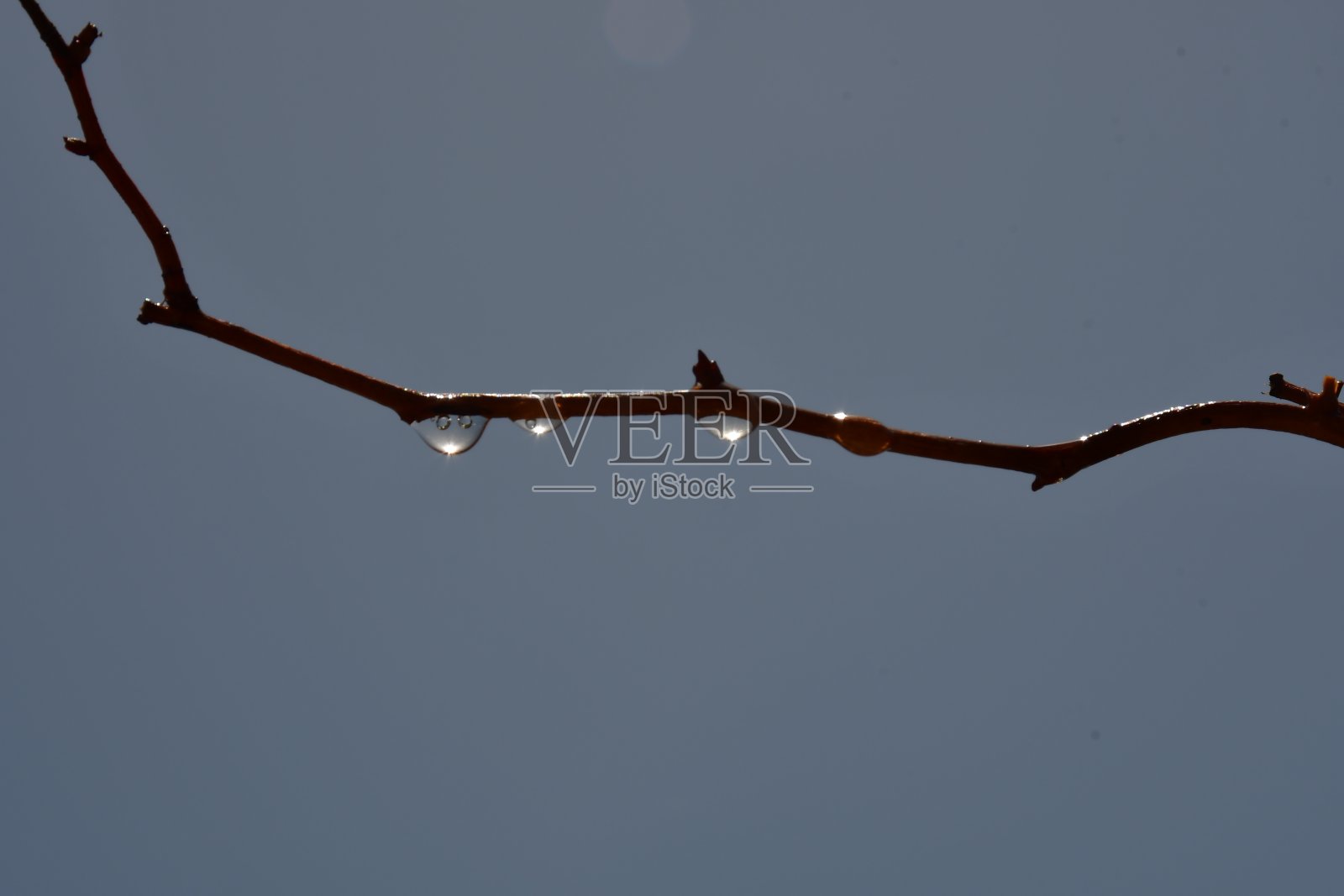 水滴照片摄影图片