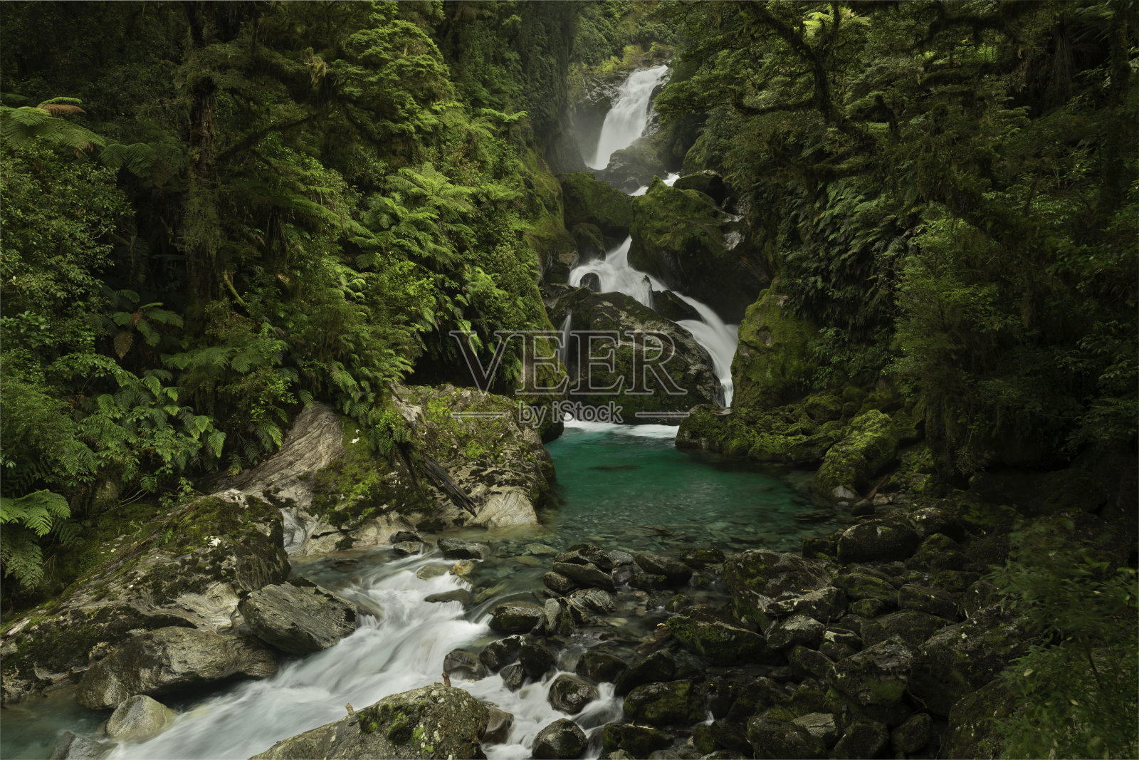 麦凯瀑布,米尔福德赛道,新西兰照片摄影图片