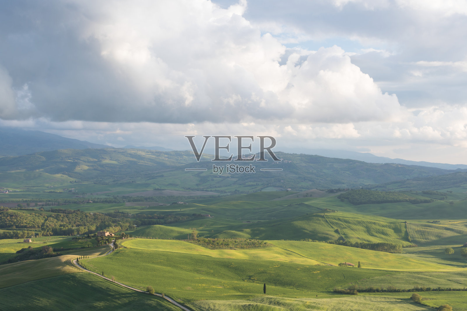 美丽的色彩,绿色的春天全景风景的托斯卡纳。意大利最受欢迎的地方。绿色的田野和蓝天和柏树风景公路锡耶纳附近。旅游度假背景概念照片摄影图片