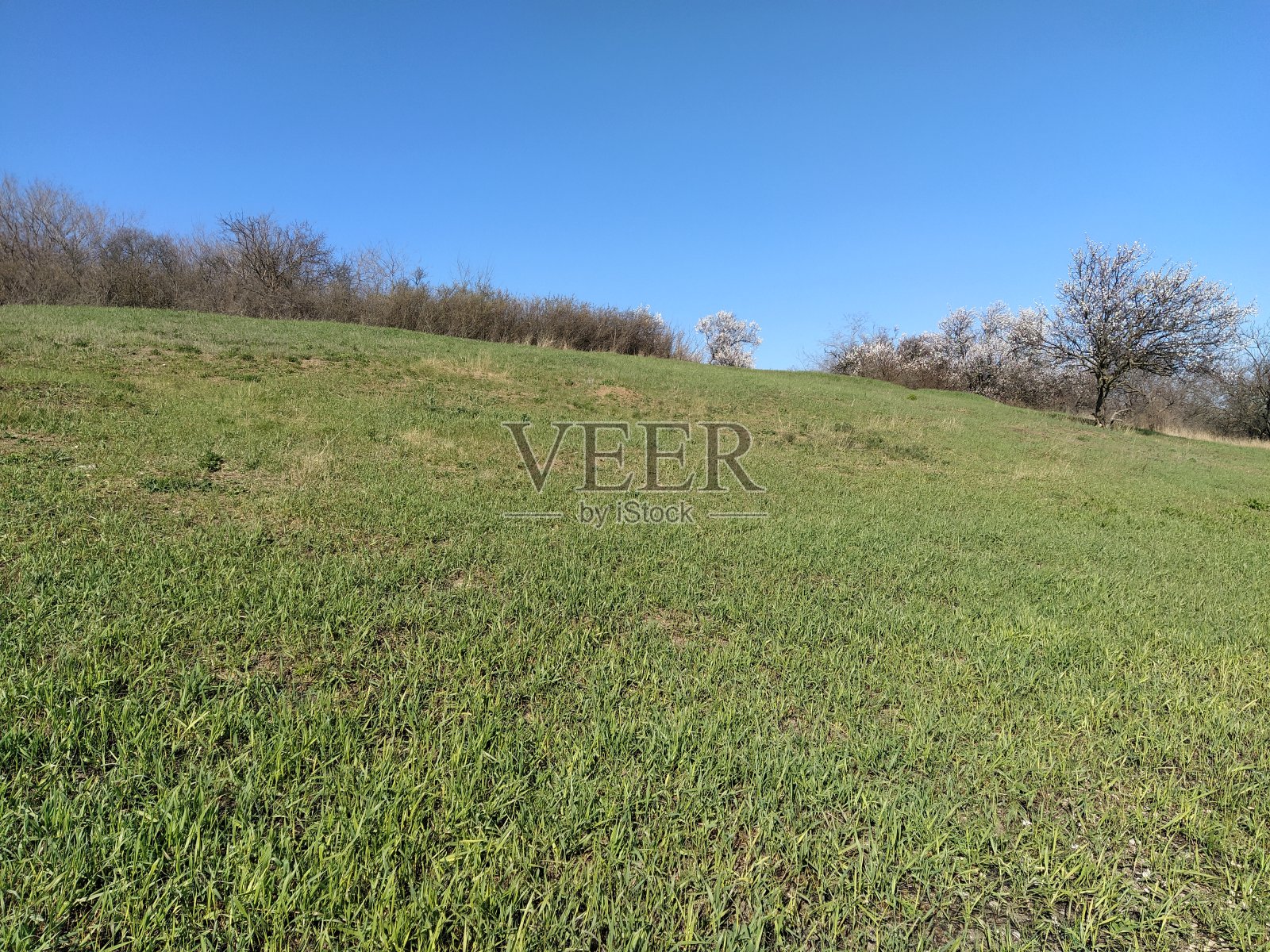 自然照片摄影图片