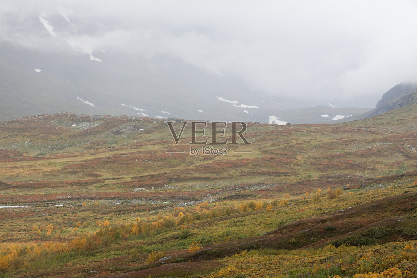 秋日瑞典沙瑞克国家公园,选择性聚焦照片摄影图片