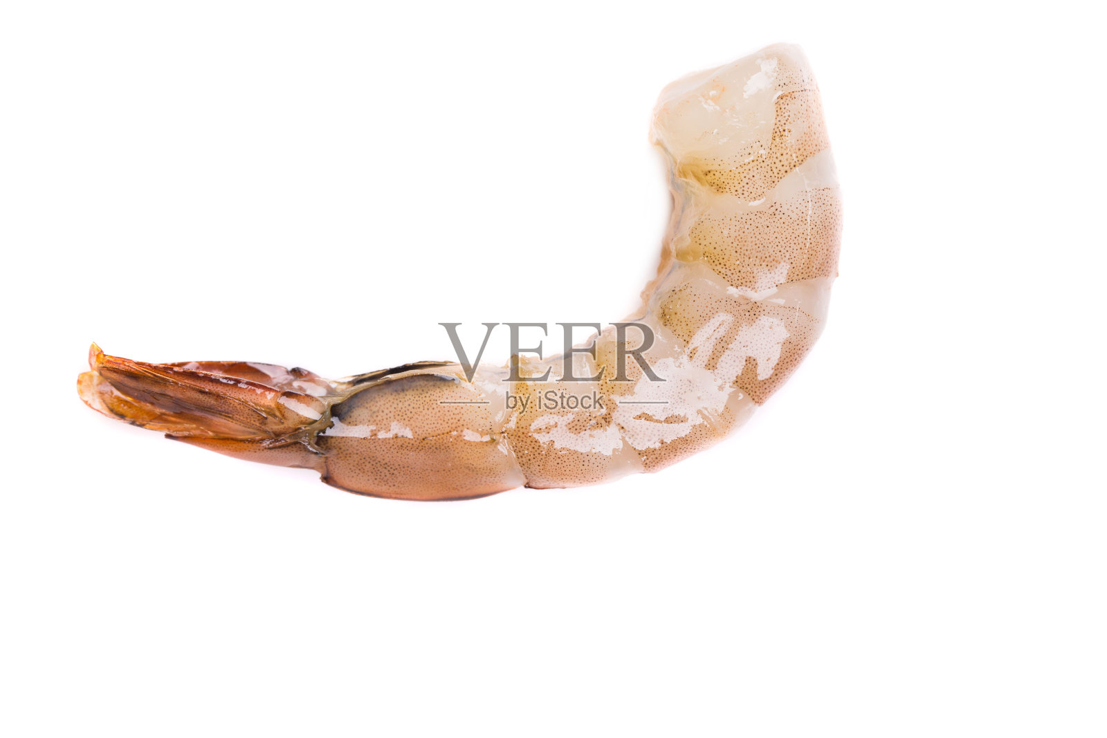 新鲜的虾。照片摄影图片