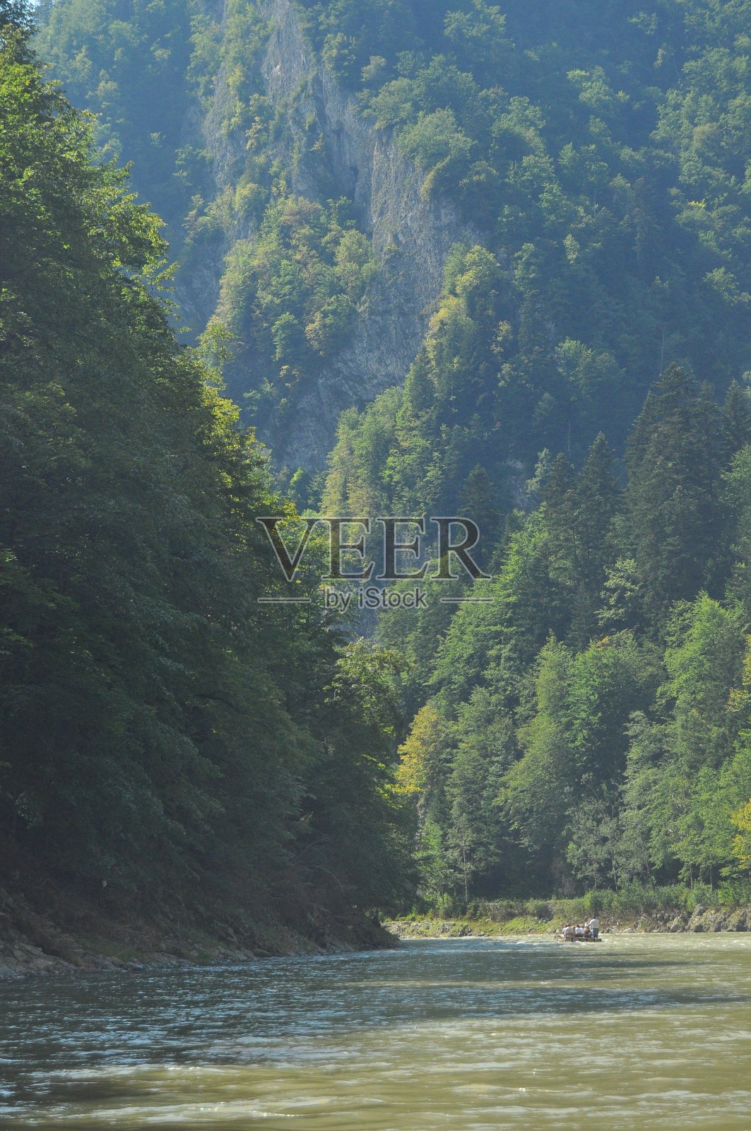 在Pieniny国家公园的Dunajec河上用绳子绑着木制折叠梭漂流。筏子在湍急的河流上划桨,河流底部有岩石,水流湍急。照片摄影图片