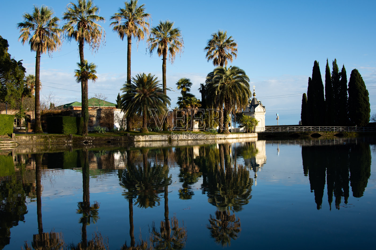 湖边有高高的棕榈树。照片摄影图片