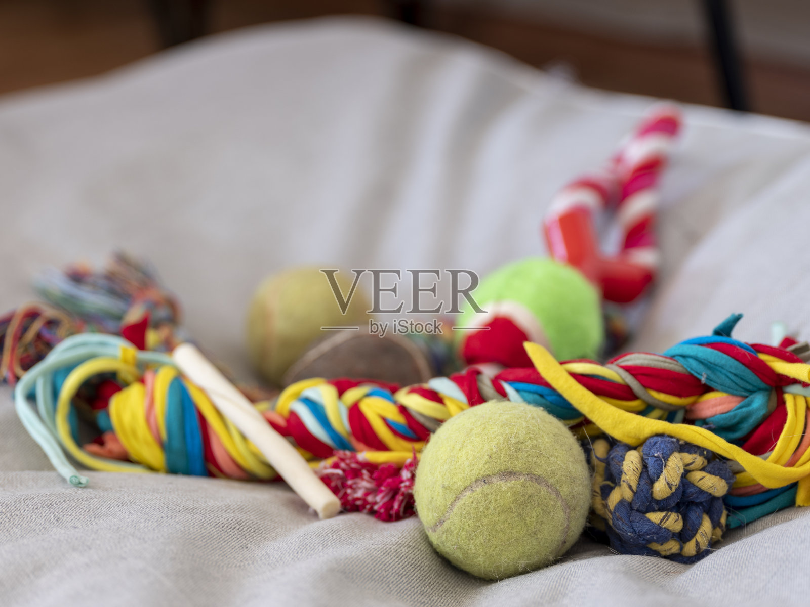 狗床上的狗玩具照片摄影图片