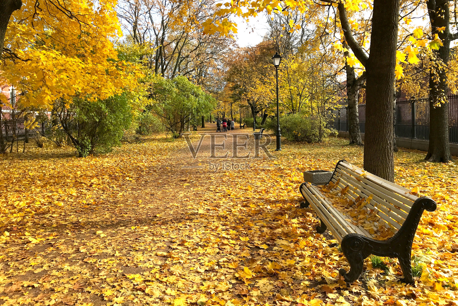 秋天的风景。在黄绿色的树木和枫叶地毯之间的秋天公园的小路。特写的长椅上照片摄影图片