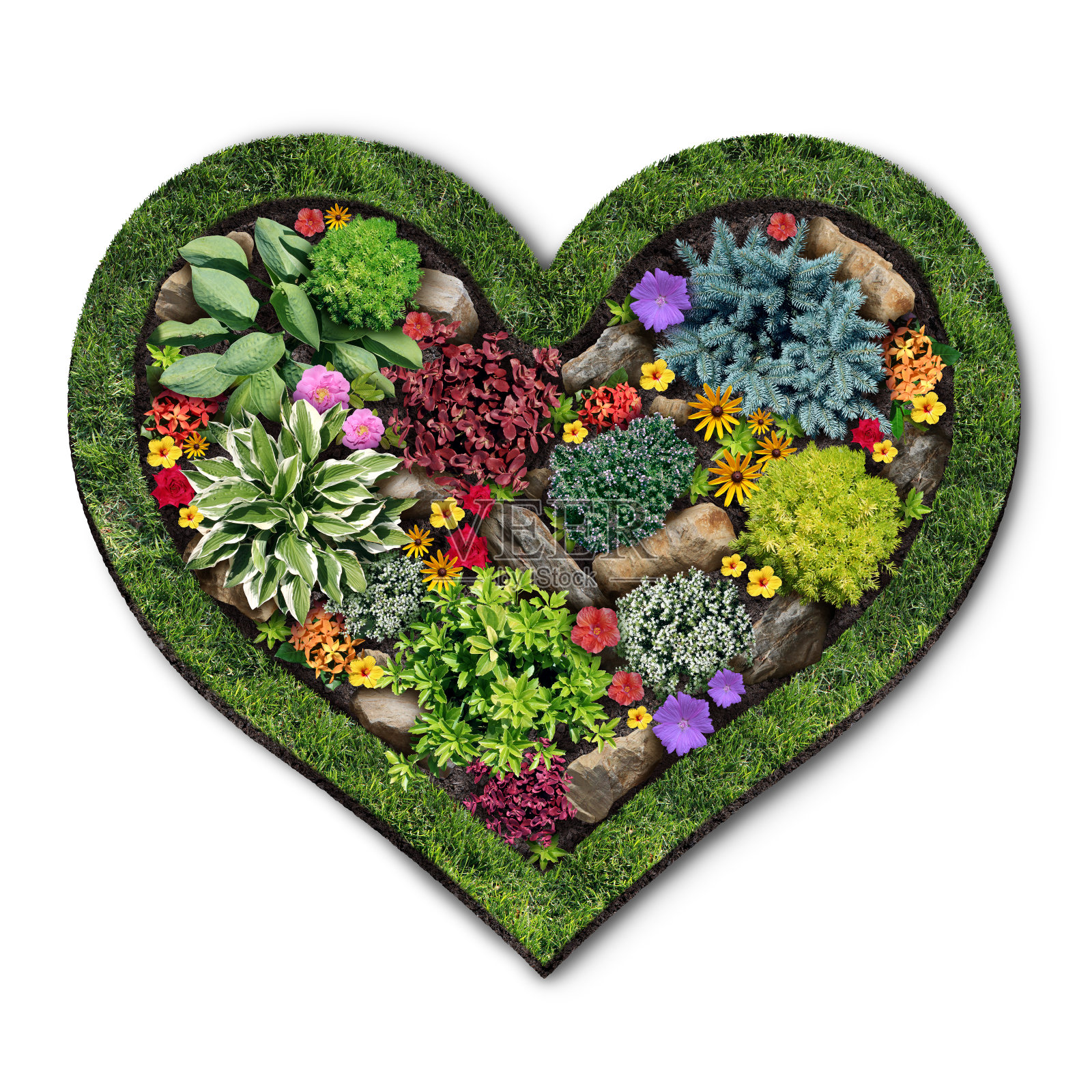 园艺的爱照片摄影图片