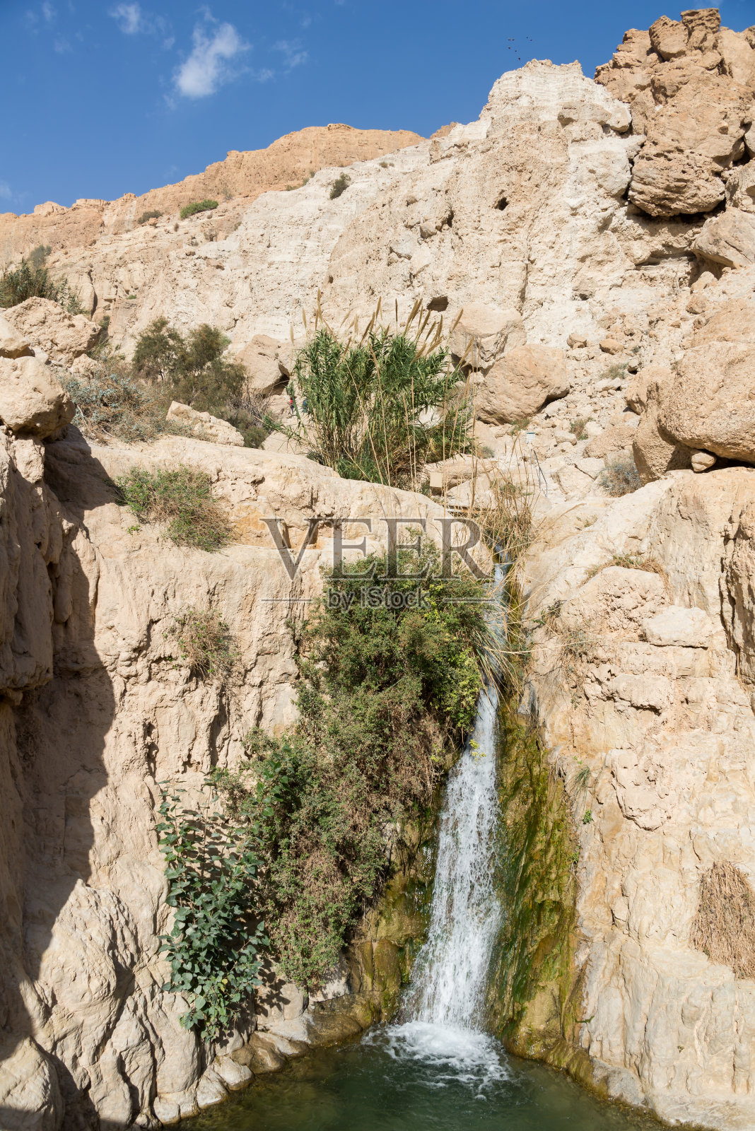 冬季的以色列南部茵革地国家公园照片摄影图片