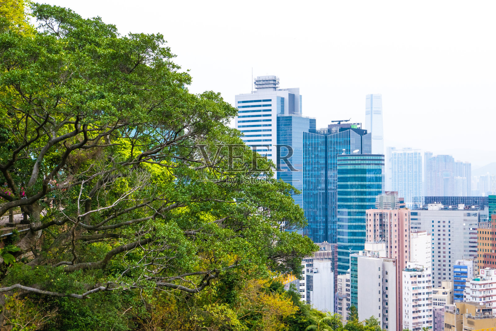 香港的自然照片摄影图片