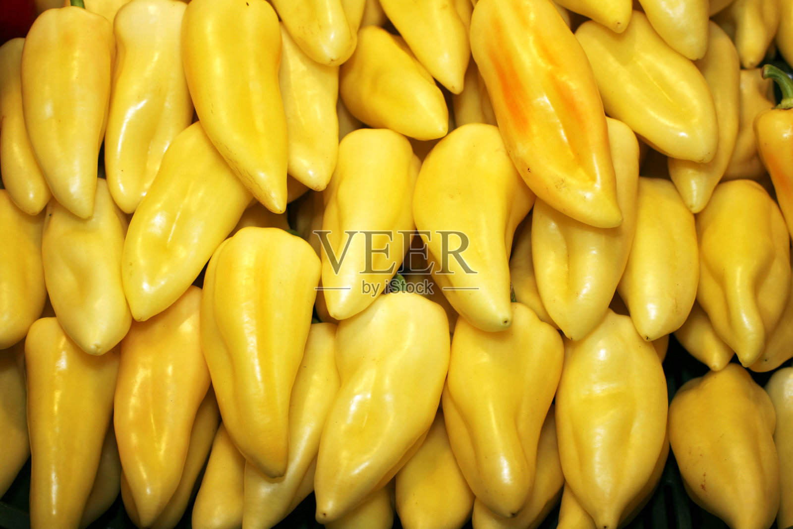 一束辣椒或辣椒图片背景照片摄影图片