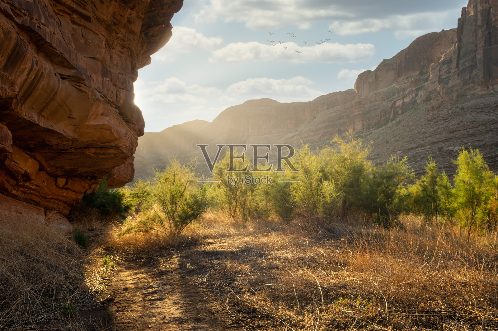 清晨的日出在一个河峡谷照片摄影图片
