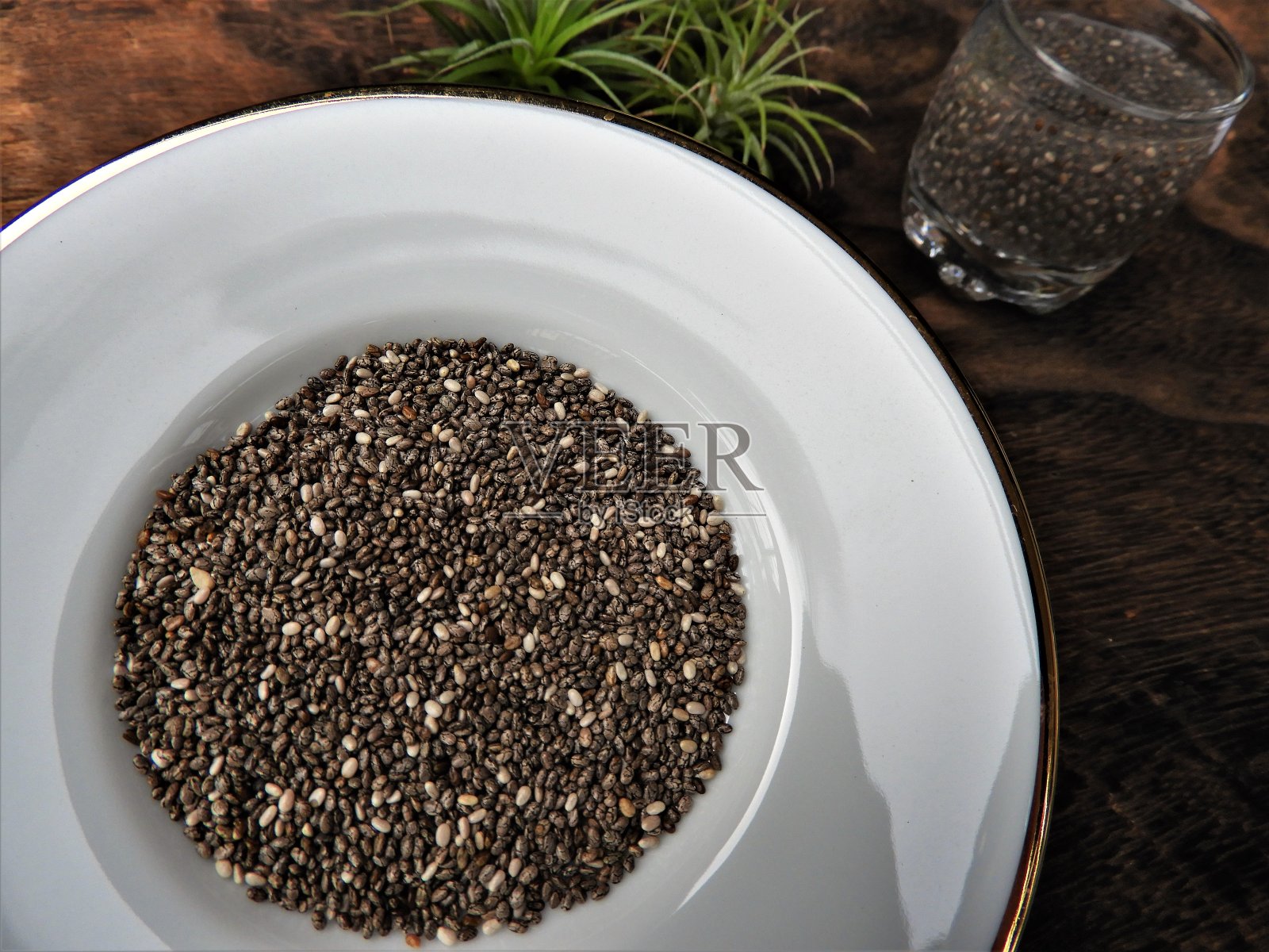 贾seeds9照片摄影图片