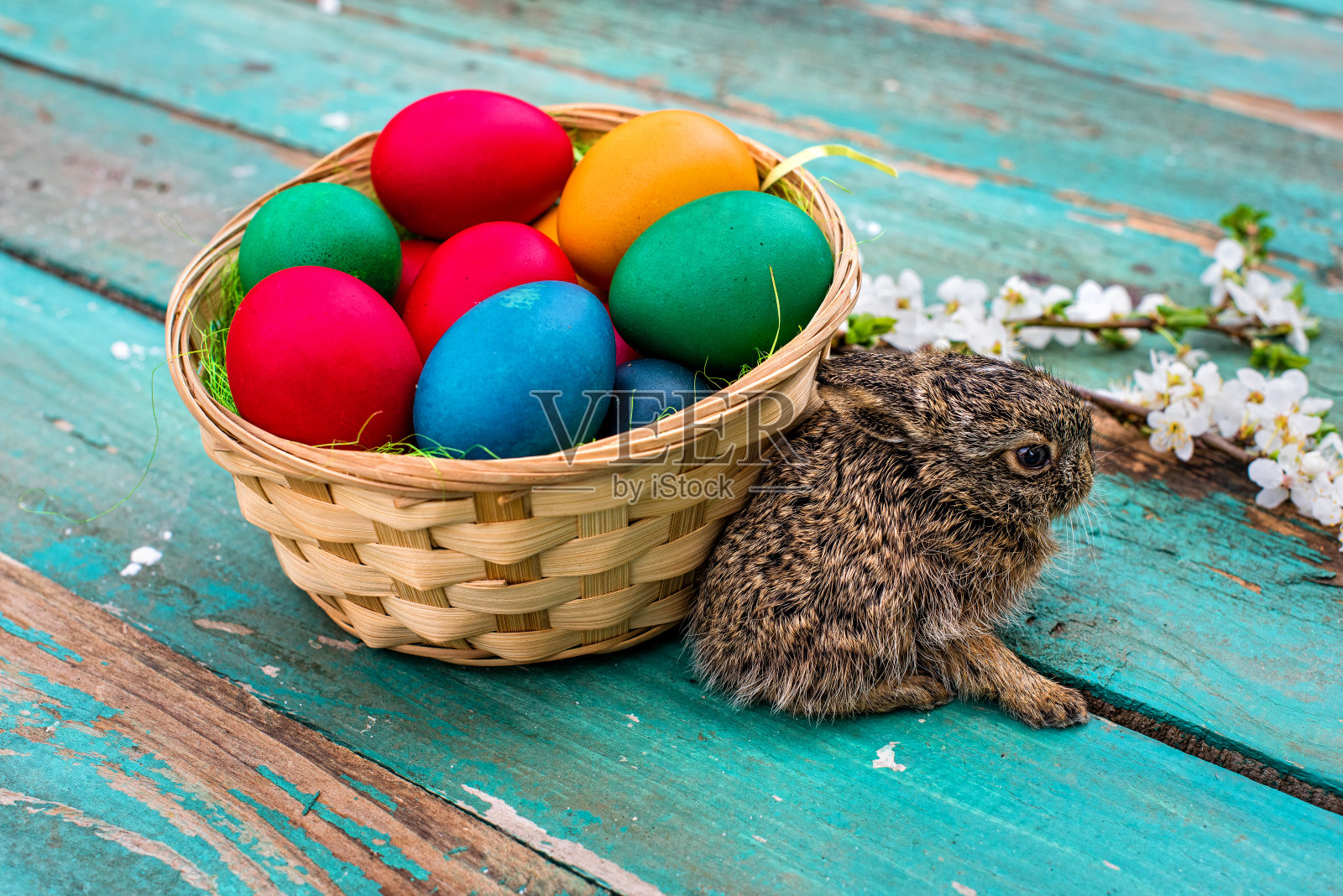 用天然染料给复活节彩蛋着色的小兔子照片摄影图片