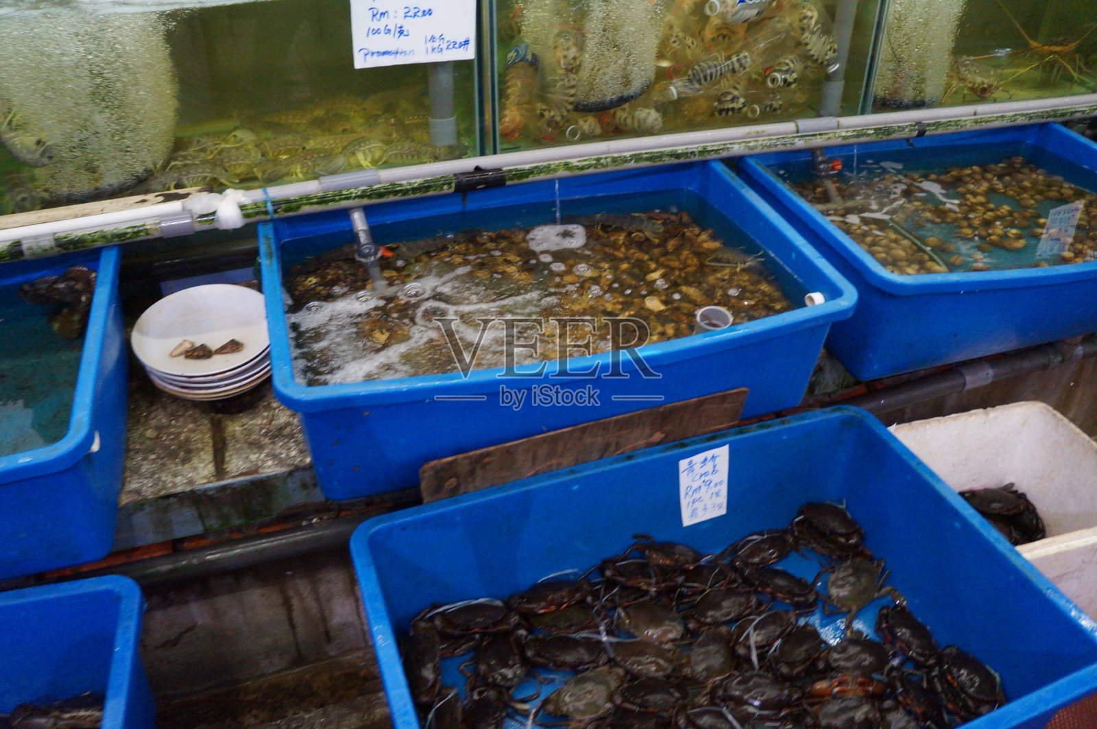 马来西亚Kinabalu市照片摄影图片