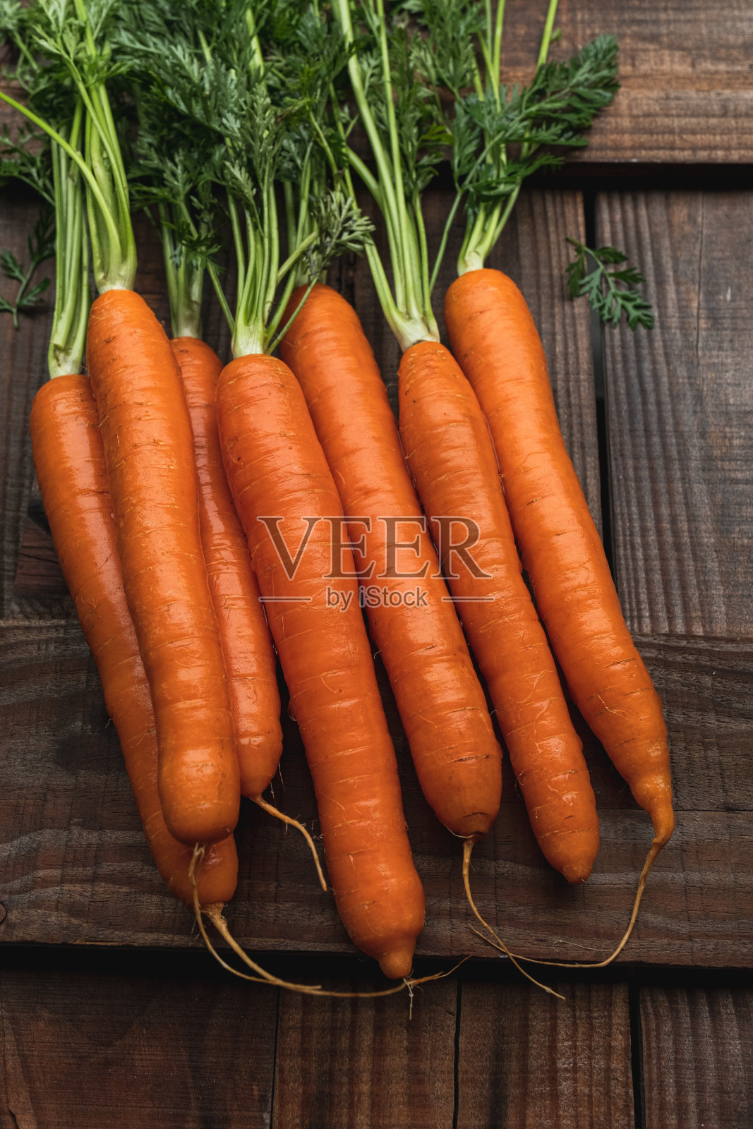 土生土长的胡萝卜。照片摄影图片