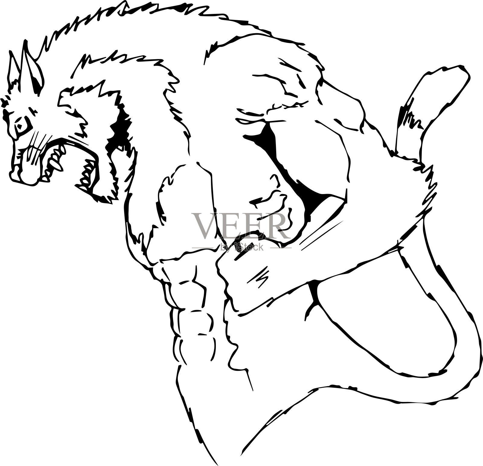 一个野猫或美洲狮或老虎的动物体育吉祥物炫耀他巨大的肌肉插画图片素材