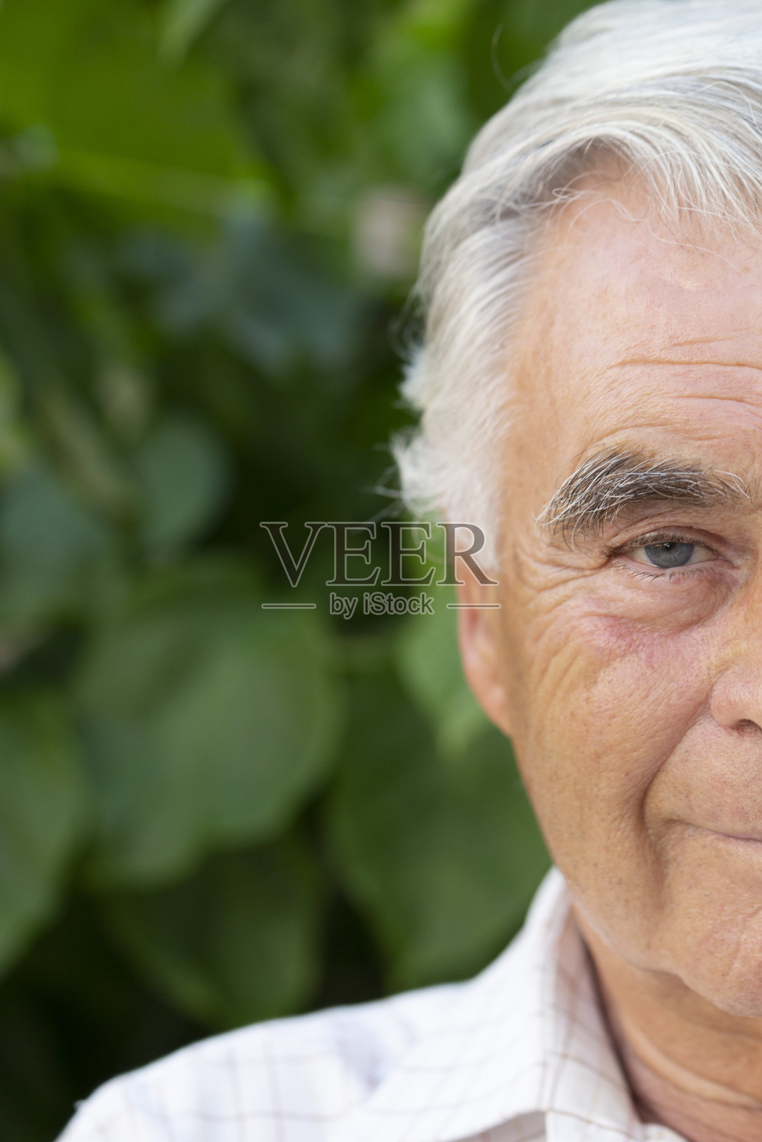 快乐的高级人照片摄影图片