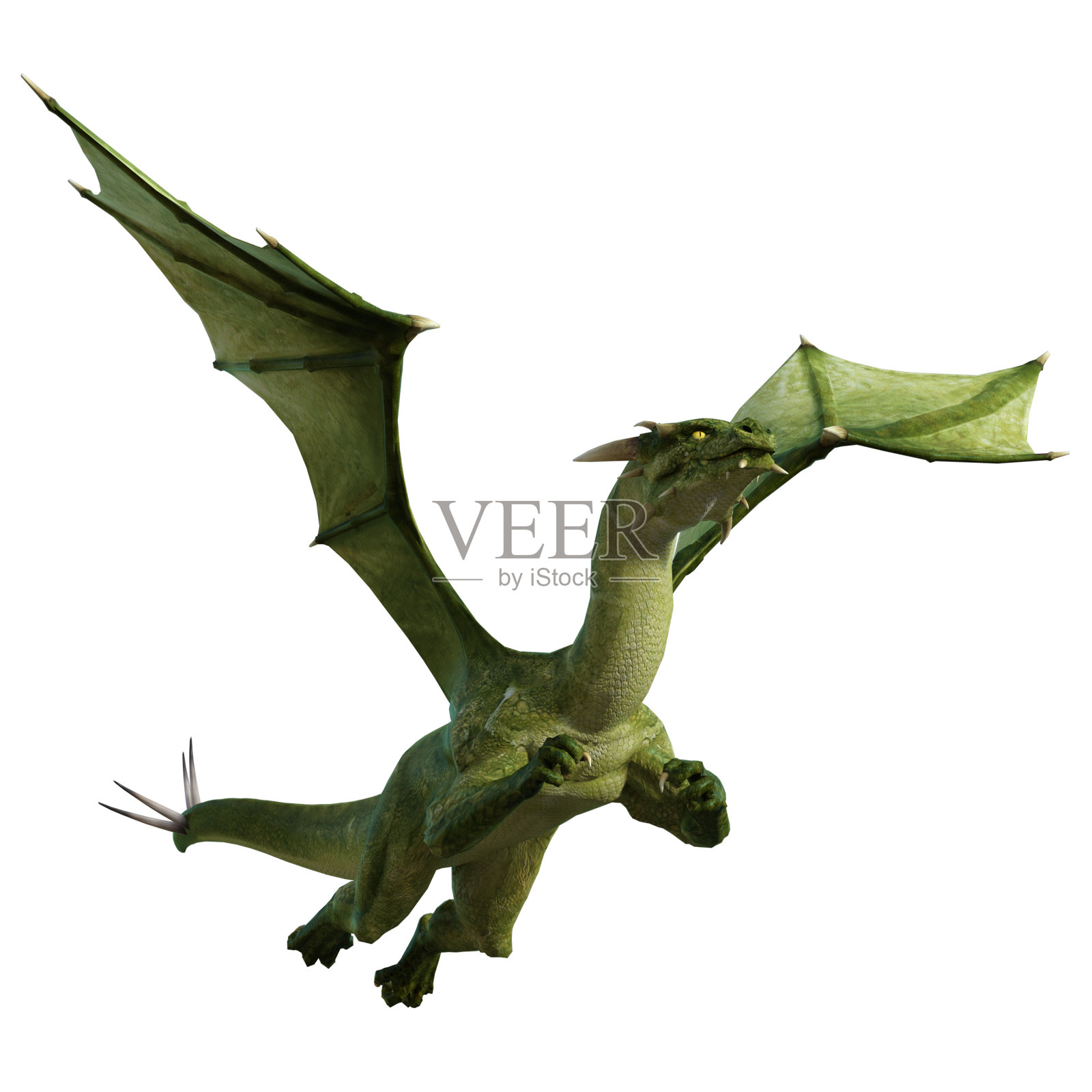 龙孤立在白色,3d渲染。照片摄影图片