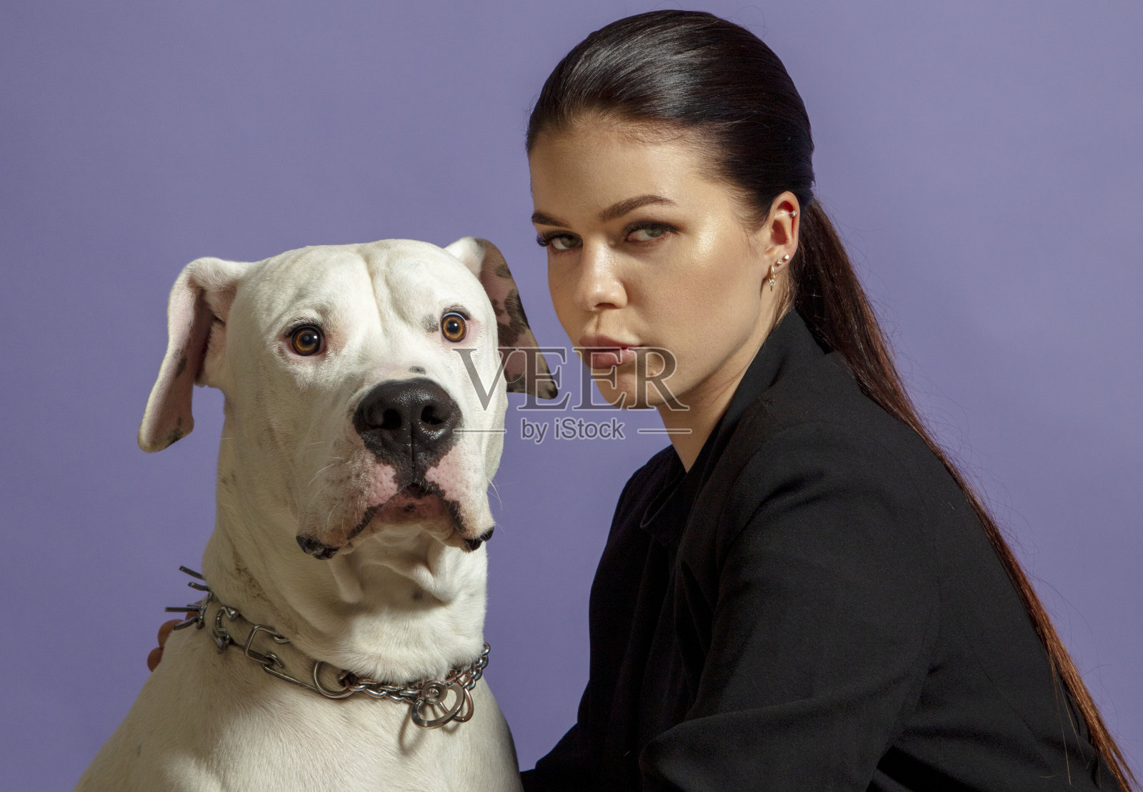狗和女主人的肖像前面的紫色背景。照片摄影图片