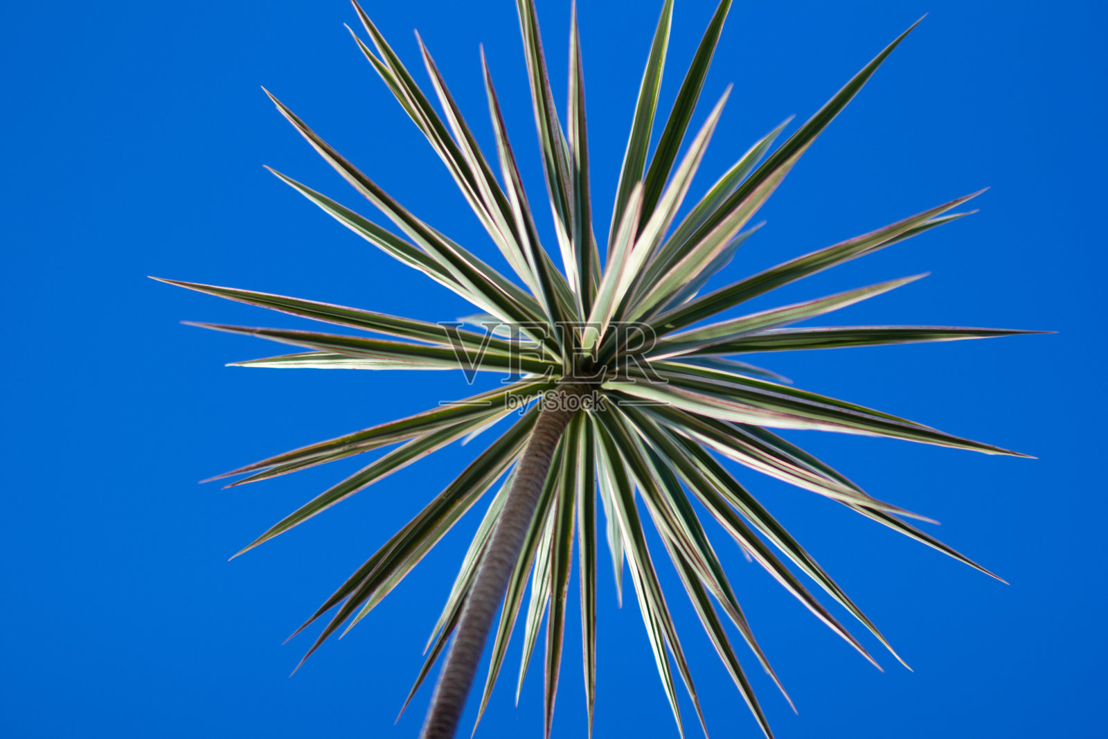 一种自然的景色出现在地平线上照片摄影图片