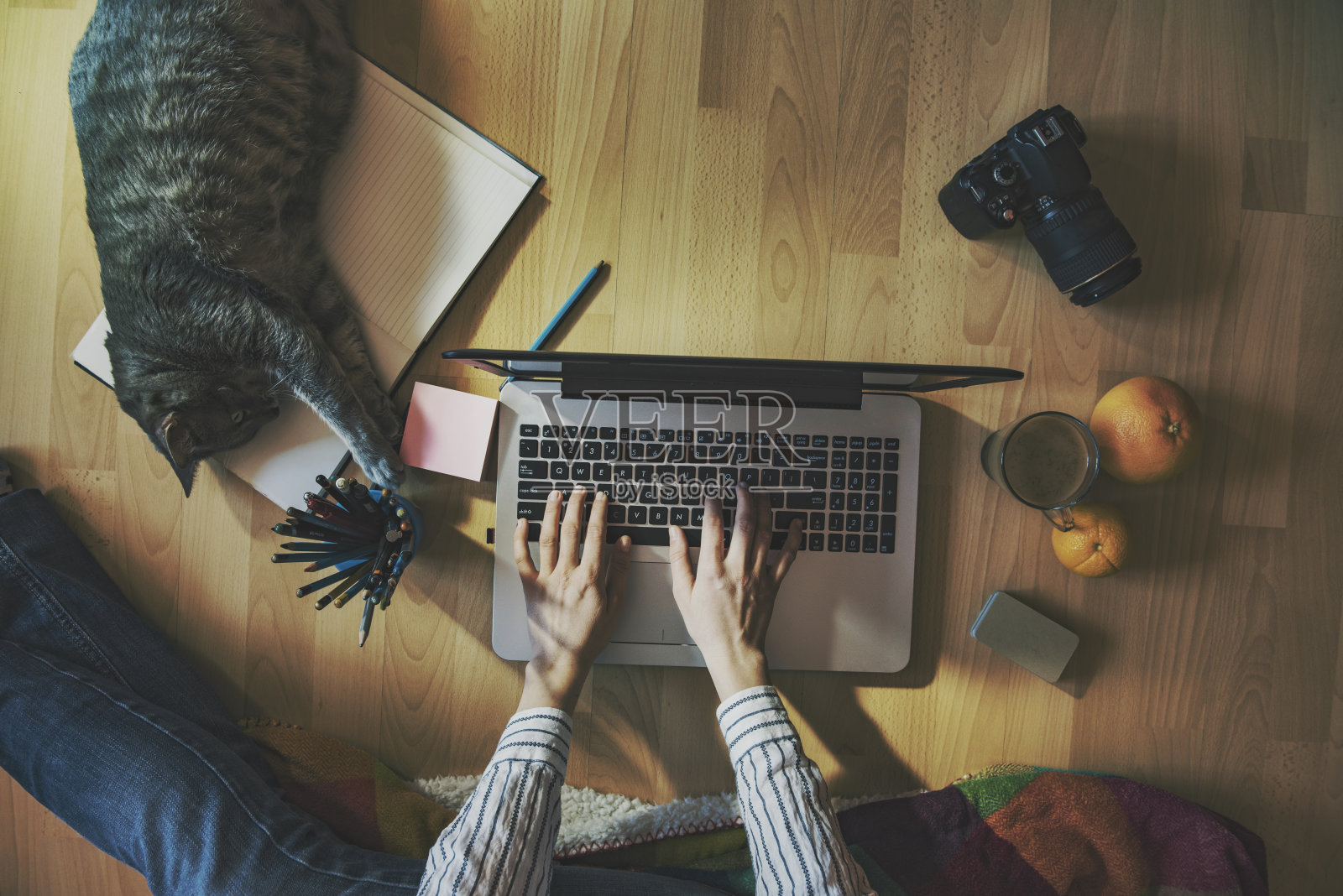 友好的工作空间-女孩和她的猫在家里工作照片摄影图片