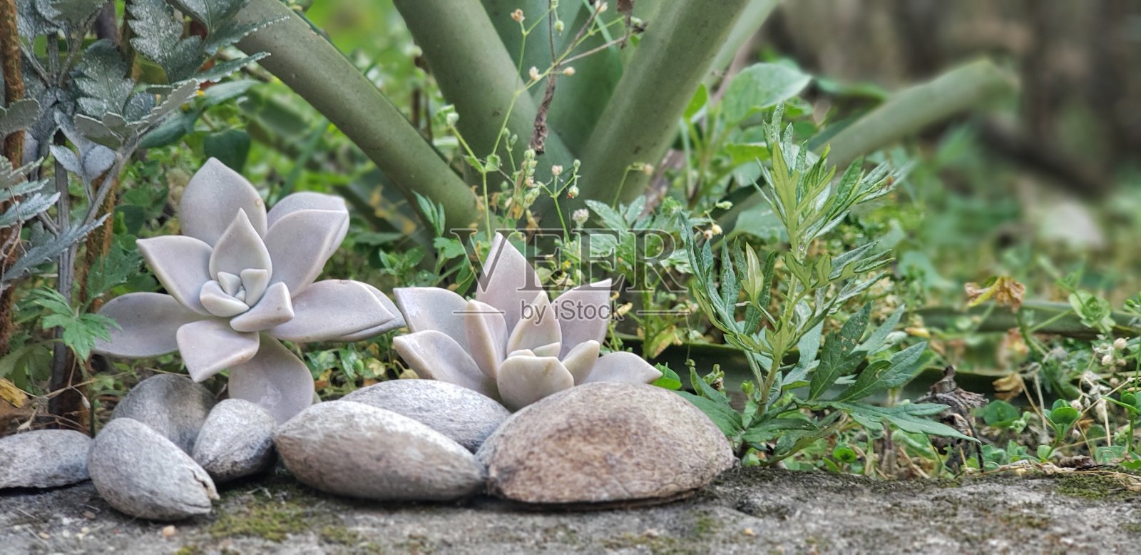 岩石照片摄影图片