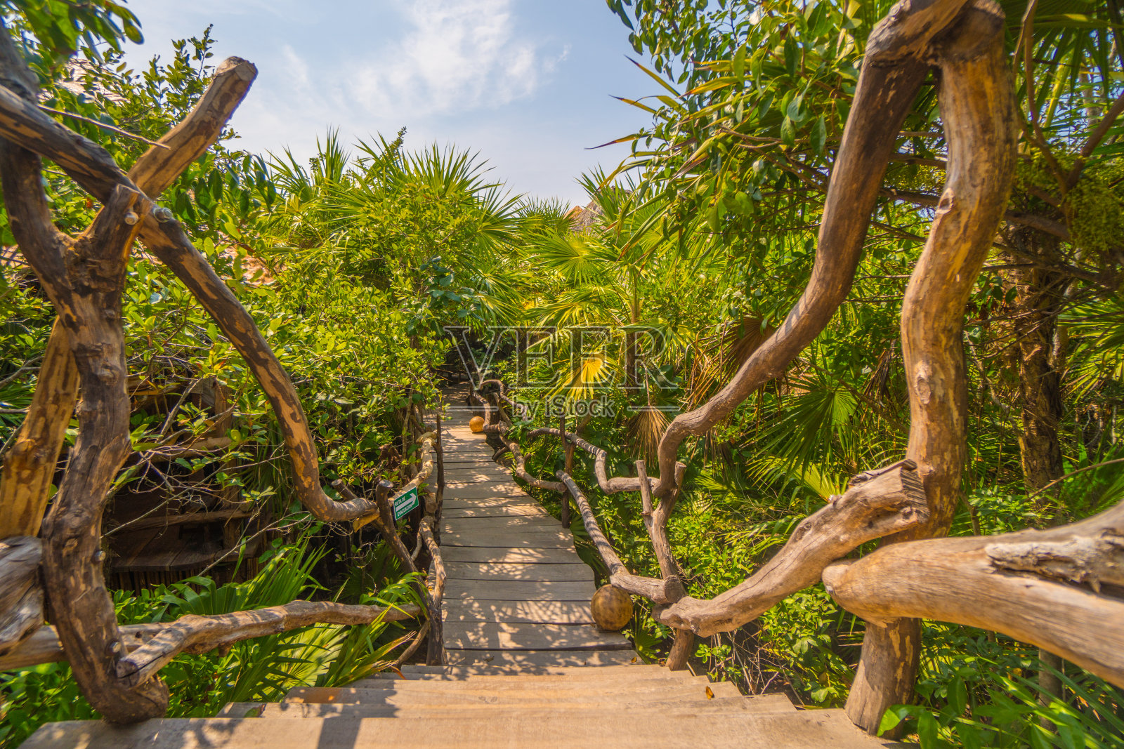 这是一条穿越墨西哥丛林的富有异国情调的度假之路照片摄影图片