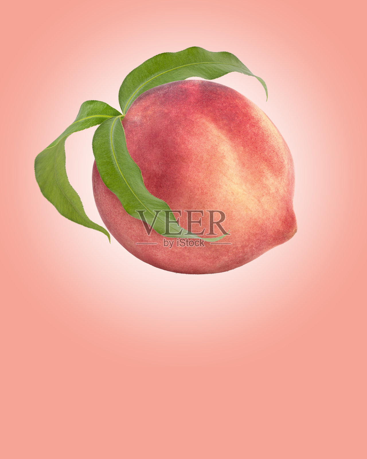 桃果实与叶孤立在桃背景上,(带有修剪路径)照片摄影图片