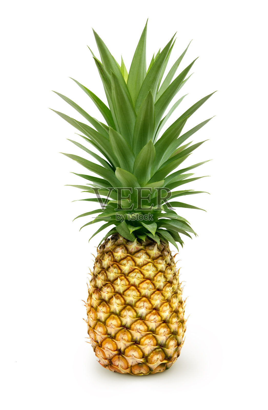 在白色背景上分离的菠萝照片摄影图片