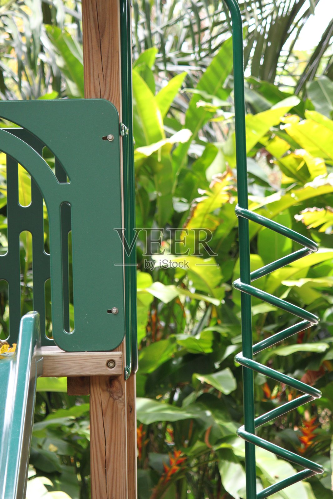 操场上照片摄影图片